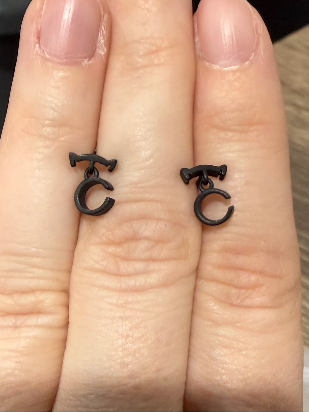 CreaMint Black Matte Cat Earrings New